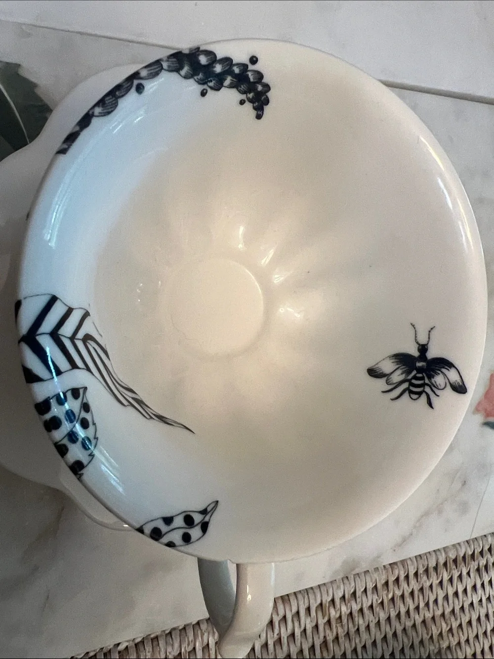 One Anthropologie cup and saucer
